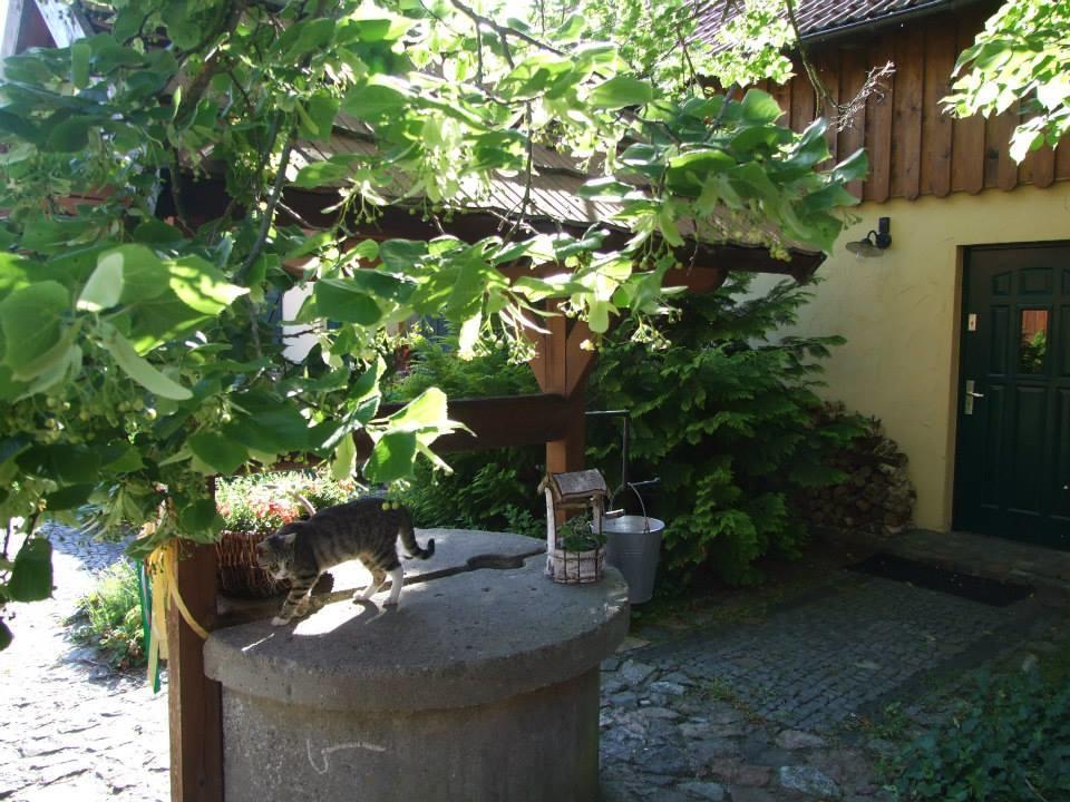 Avalon Polchowo Cammin in Pommern Exterior foto